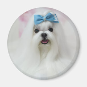 Imã Enviar foto de animal de estimação Cachorro fofo A