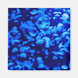 Imã Enxame de medusa