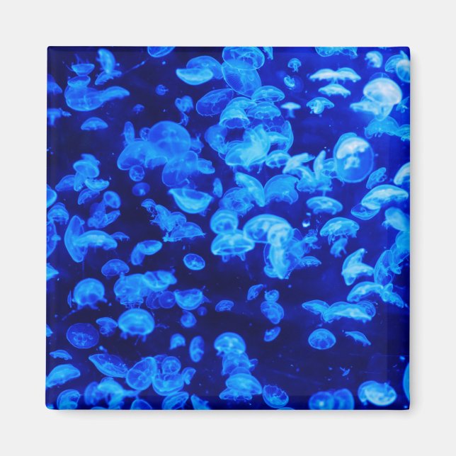 Imã Enxame de medusa (Frente)