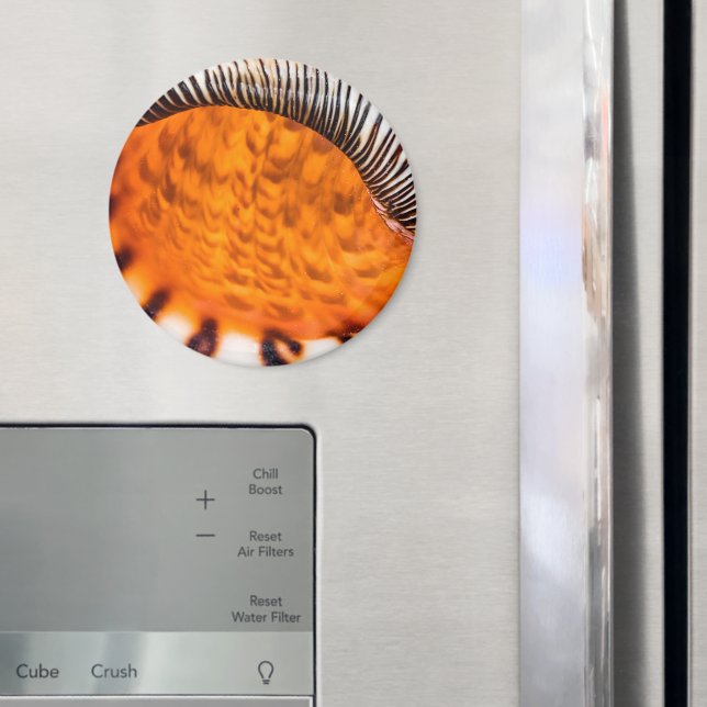 Imã Enxertia em rede (In Situ (Fridge))