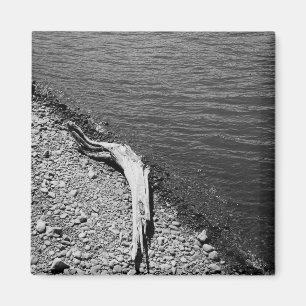 Imã Equilíbrio natural - da madeira lançada costa í