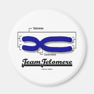 Imã Equipe Telomere (humor da biologia)