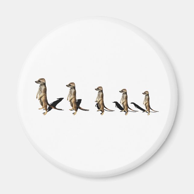 Imã Erdmännchen em linha (Frente)