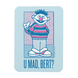 Ímã Ernie Você está com raiva, Bert?