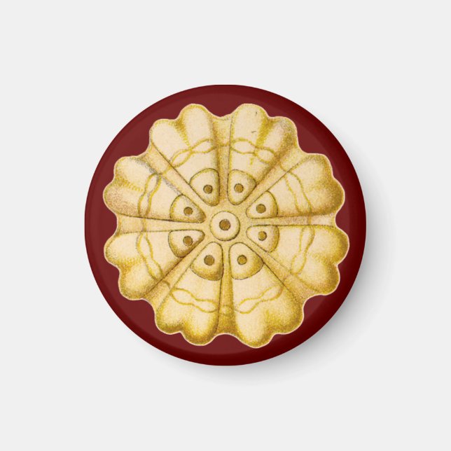 Imã Ernst Haeckel (Frente)