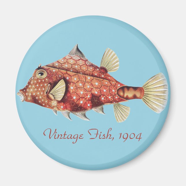 Imã Ernst Haeckel Peixe-Caixa Vermelho Náutico Vida Ma (Frente)