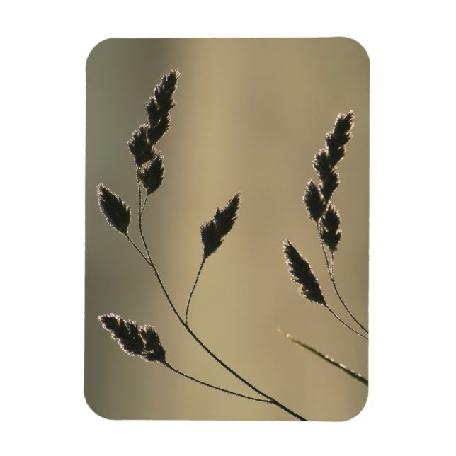 Ímã Erva de erva úmida (Vertical)