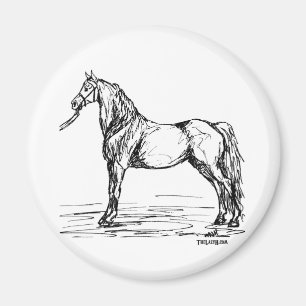 Imã Esboço simples do cavalo de Morgan