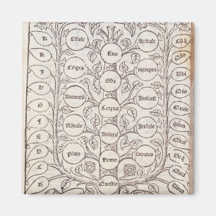 Imã Escada celestial