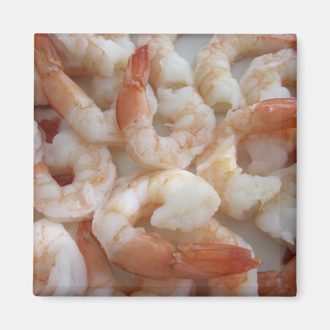 Imã Escamudo (Frente)