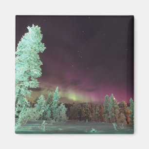 Imã Escandinávia, Finlândia, Lapónia, Kakslauttanen