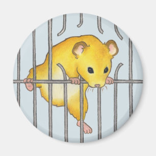 Imã Escape de Ted