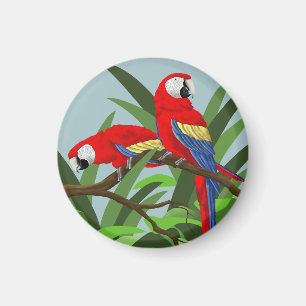 Imã Escarlet Macaw Magnets