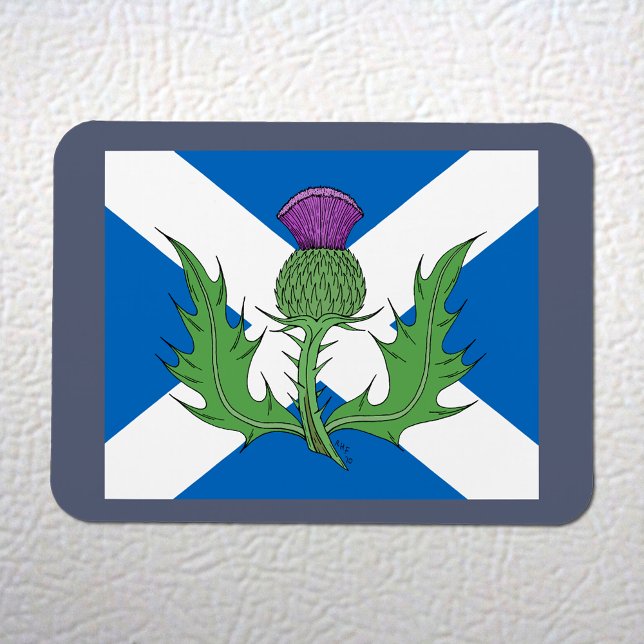 Ímã Escocês - Tijolo e Vassoura (Scottish Thistle and Saltire Flexi Magnet on White Fridge)