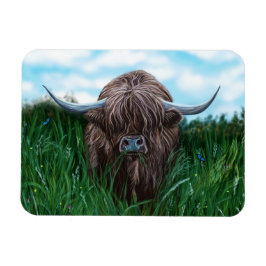 Ímã Escocesa de Vacas do Highland