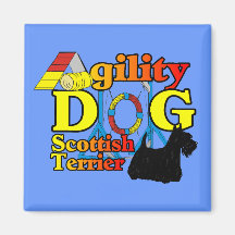 Escocesa_Terrier_Agilidade