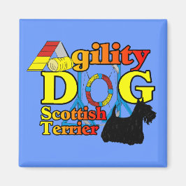 Imã Escocesa_Terrier_Agilidade