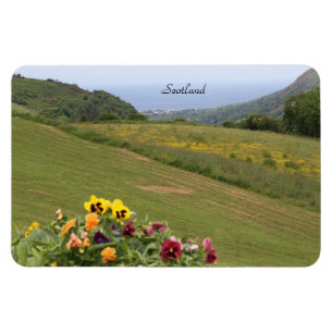 Ímã Escócia, Highlands, Oceano, Flores, Fotografia