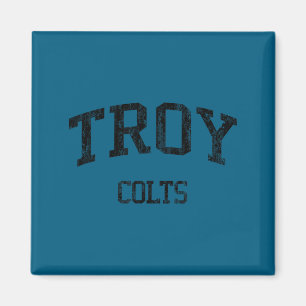 Imã Escola de ensino médio troy hs troy mi esportes vi