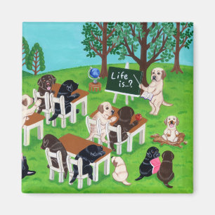 Imã Escola de Labrador