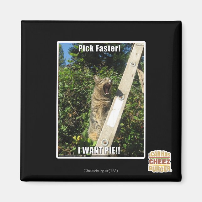 Imã Escolha mais rápido! (Frente)