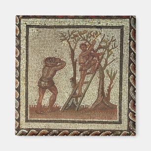 Imã Escolhendo a fruta, mosaico romano