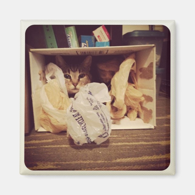 Imã Escondido Secreto do Indigo (Frente)