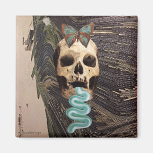 Imã Escove seus dentes -