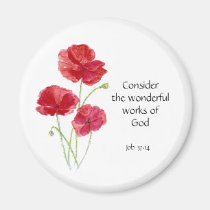 Imã Escritura, inspirada, citações, flor, papoila