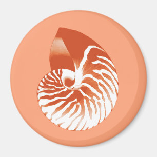 Imã Escudo do nautilus - terracotta e branco