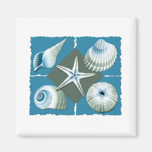 Imã Escudos do mar azul & verde