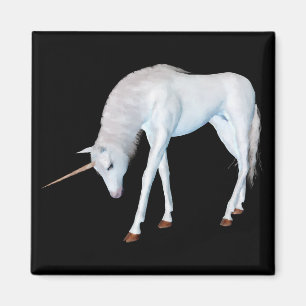 Imã Escutando o ímã