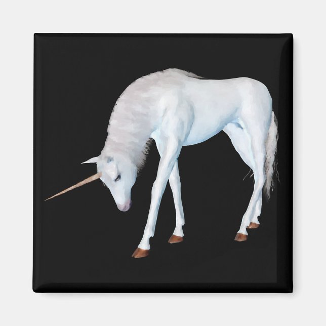 Imã Escutando o ímã (Frente)