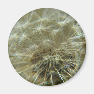 Imã Esfera Fluffy - Magnet