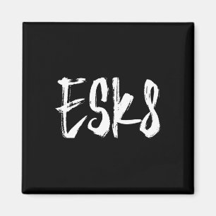 Imã Esk8 - Skate Elétrico