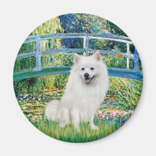 Imã Eskimo Spitz 1 - Ponte