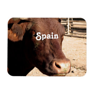 Ímã Espanhol Bull