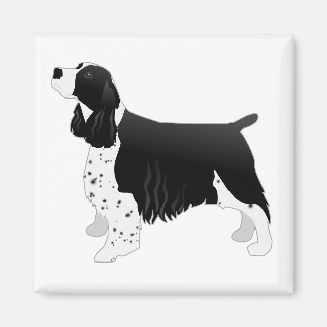 Imã Espanhol Springer Cachorro Básico Silhouette Preto (Frente)