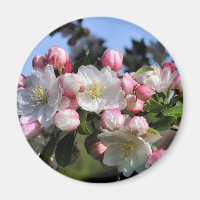 Espantossomos Flores Fotografia Magnet