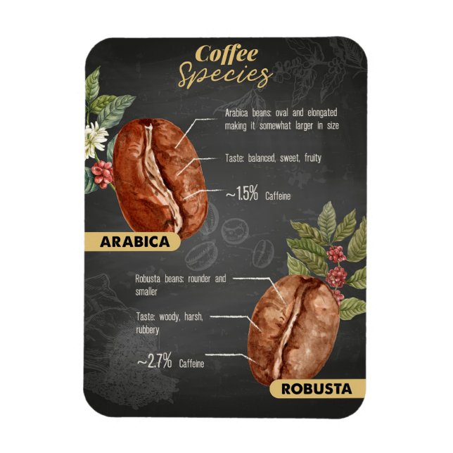 Ímã Espécie De Café Ao Longo Do Café (Vertical)