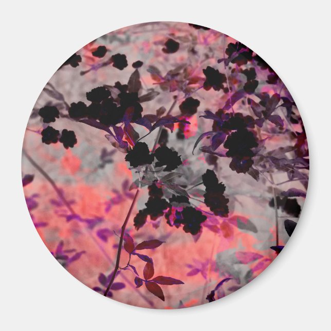 Imã Espelho das flores pretas vermelhas Arte design (Frente)