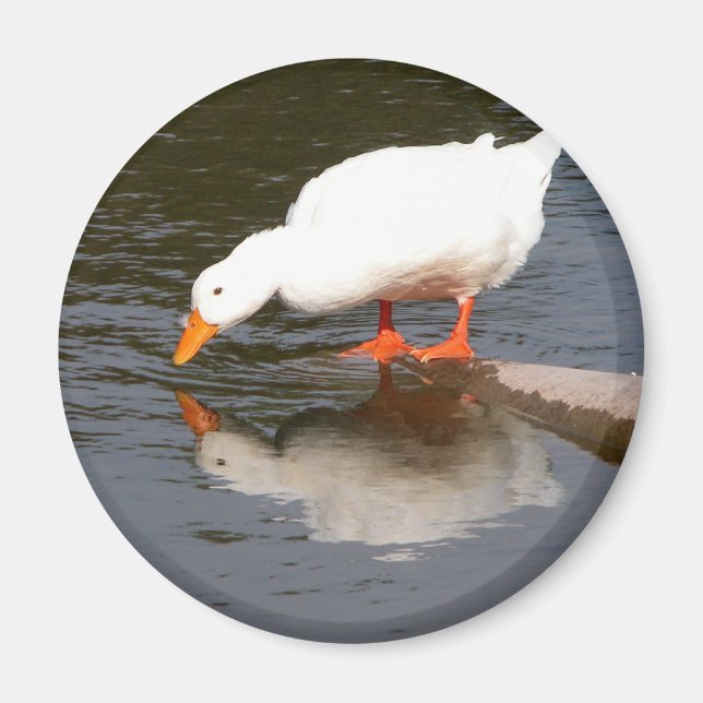 Imã Espelho Espelho (Frente)