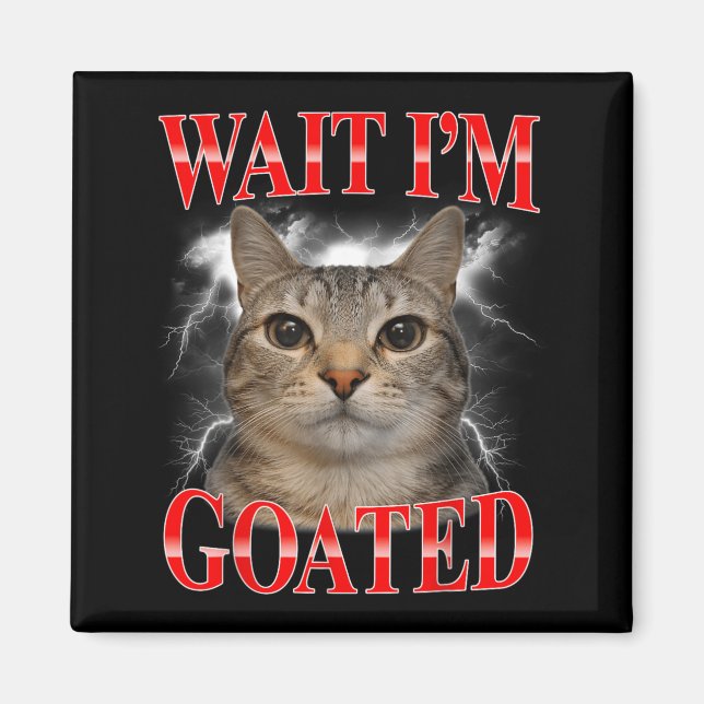 Imã Espera Eu Sou Goated Gato Silly Gato Meme Engraçad (Frente)