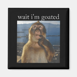 Imã Espera, sou Goated Macaco Pensativo Meme Humor Gen