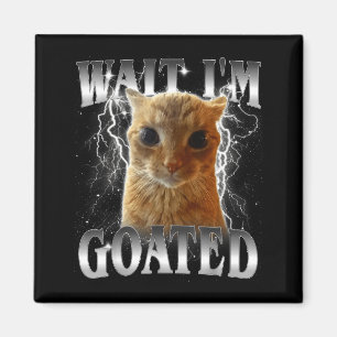 Imã Espera, sou lendário meme engraçado de gato olhand