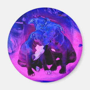 Imã Esperança da fé & caridade, cães abusados do