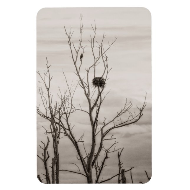 Ímã Esperando a vida (Vertical)