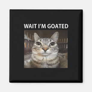 Imã Esperar Im Goated Bobo Cat Meme