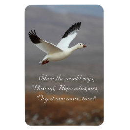 Ímã Espero que os sussurros tentem mais uma vez