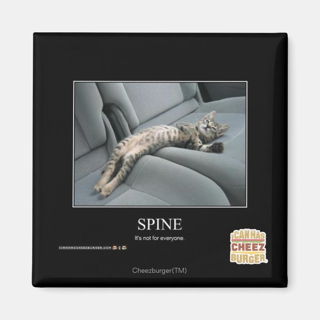 Imã Espinha (Frente)